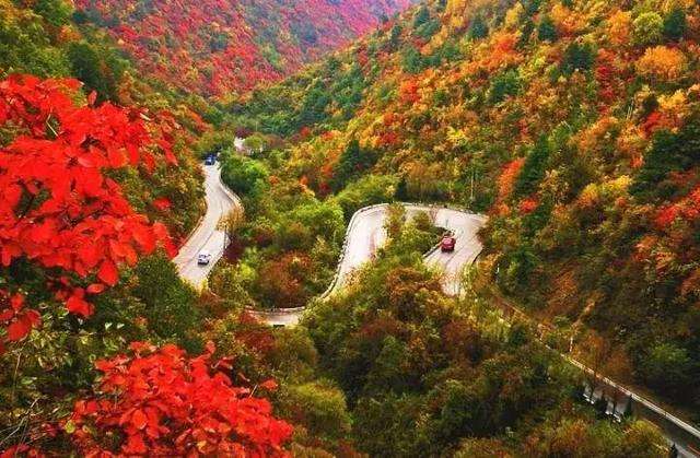 進山