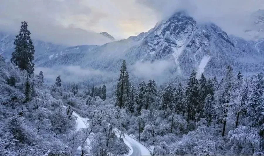 雪