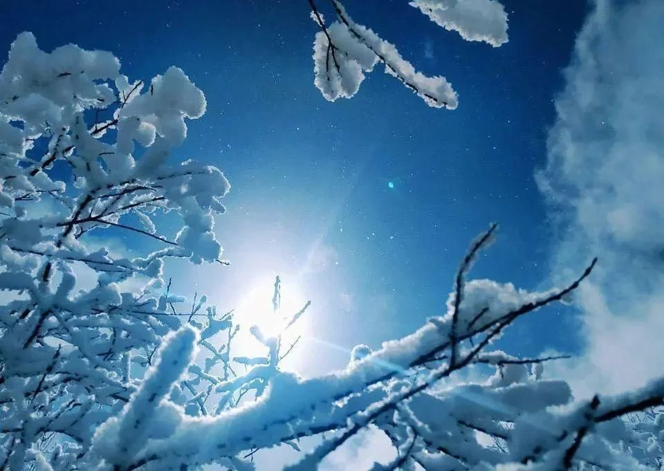 雪