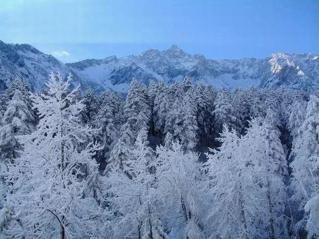 雪